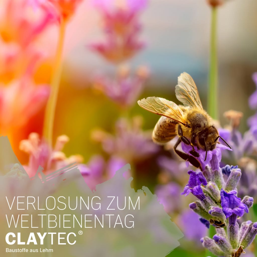 Zum Weltbienentag verlost CLAYTEC Honig und unterstützt die Bienen